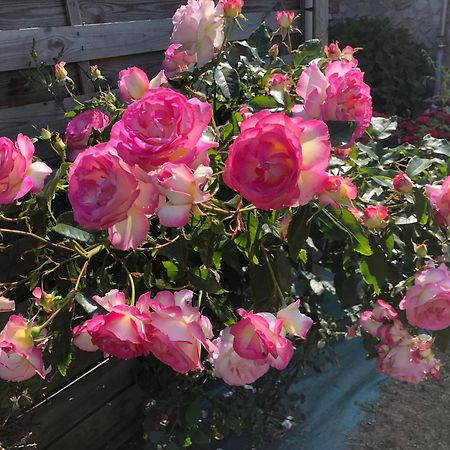 Les Hortensias Grand-Fougeray Екстериор снимка